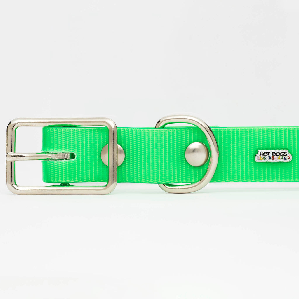 Neon Green Hydro Collar 