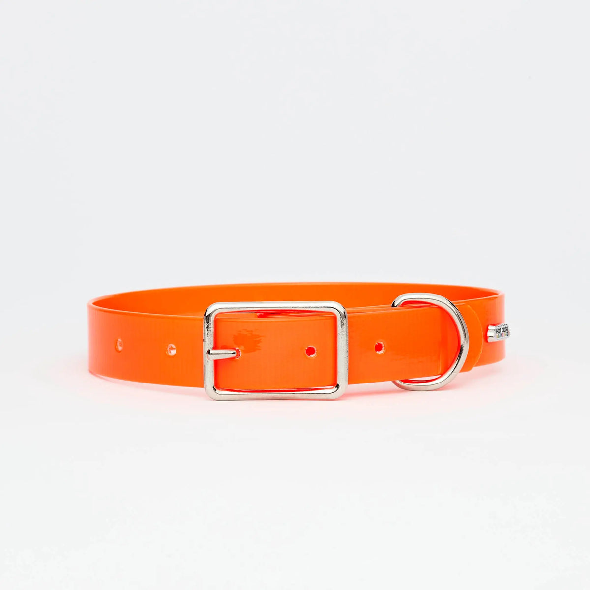 Orange Hydro Pet Collar | Orange Pet Collar | Hot Dogs All Dressed