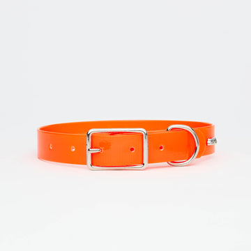 Orange Hydro Pet Collar 