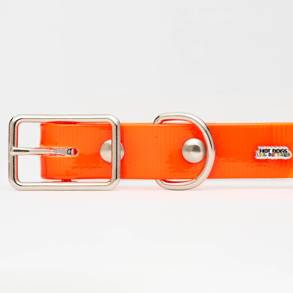 Orange Hydro Pet Collar 