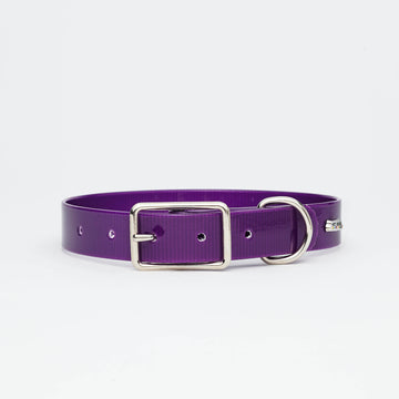Purple Dog Collar 