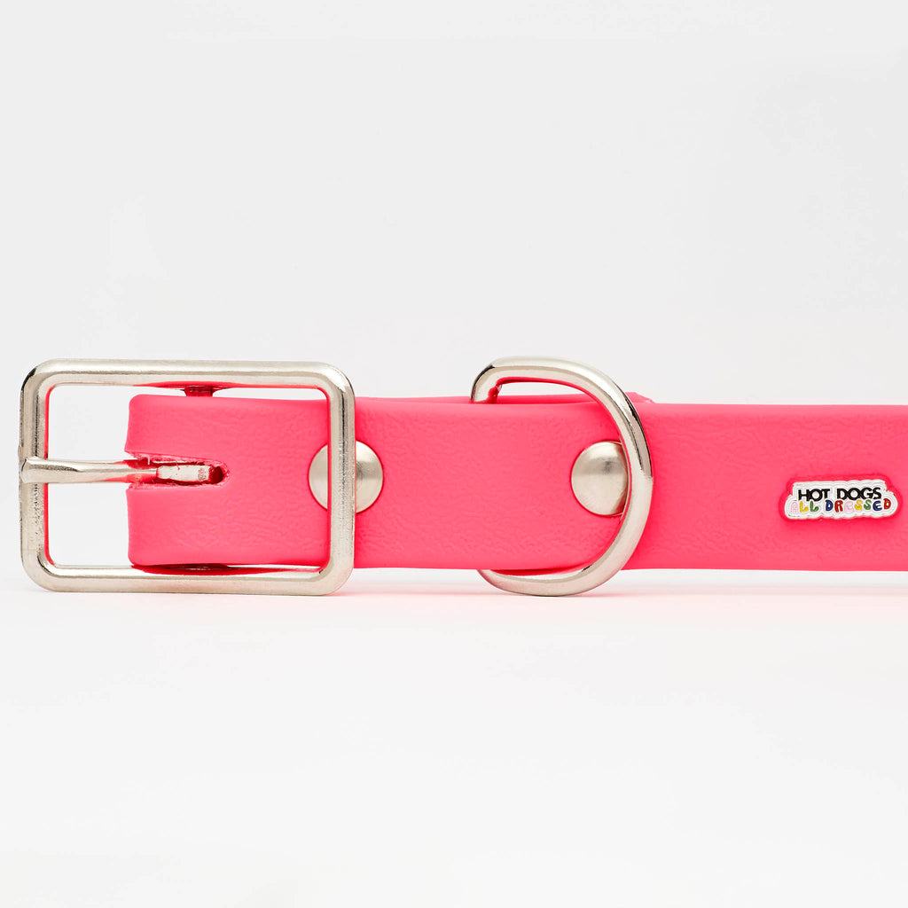 Neon Pink Vegan Dog Collar