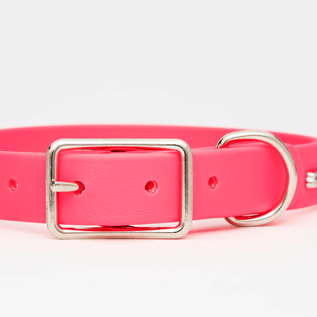 Neon Pink Vegan Dog Collar