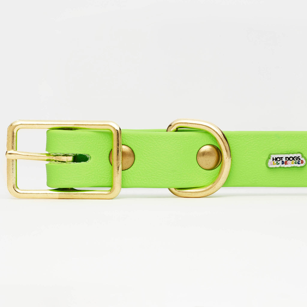 Lime Leather Collar