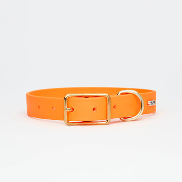 Orange Leather Dog Collar