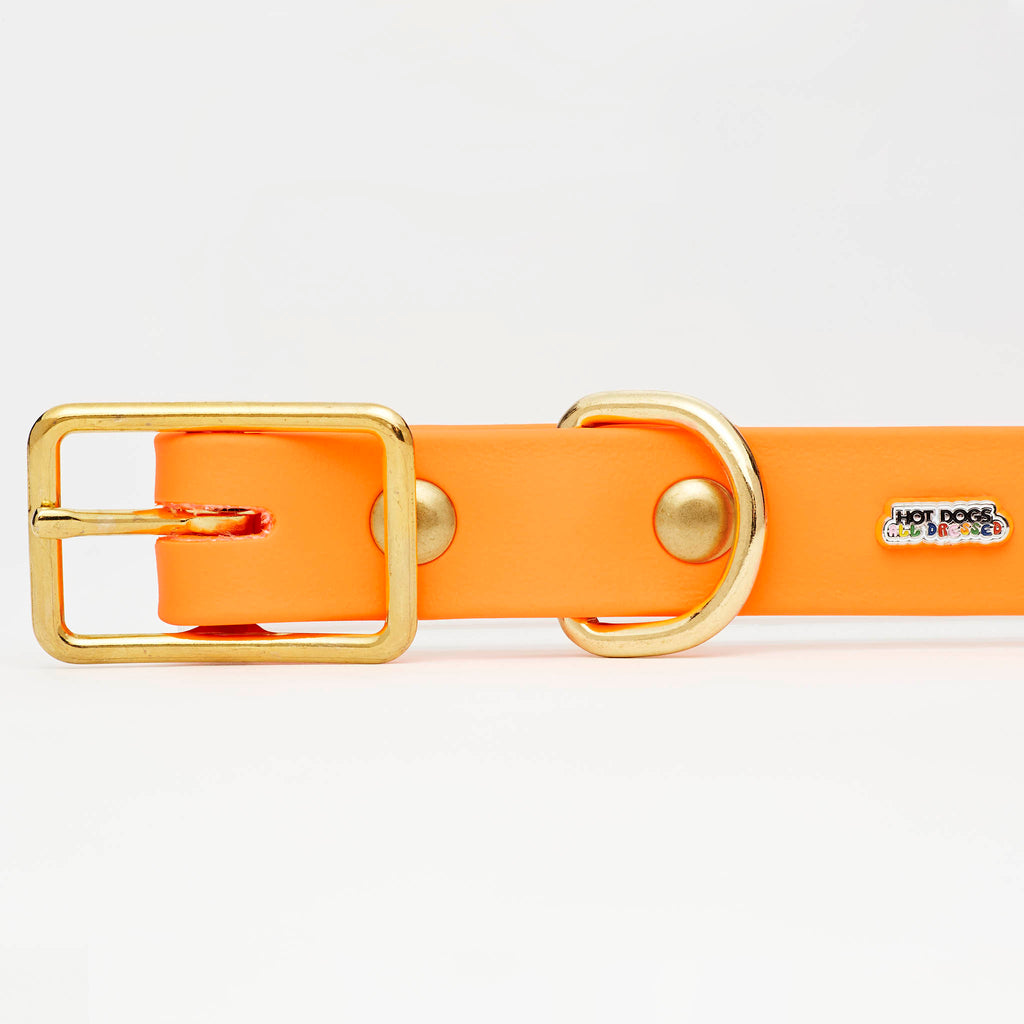 Orange Leather Dog Collar