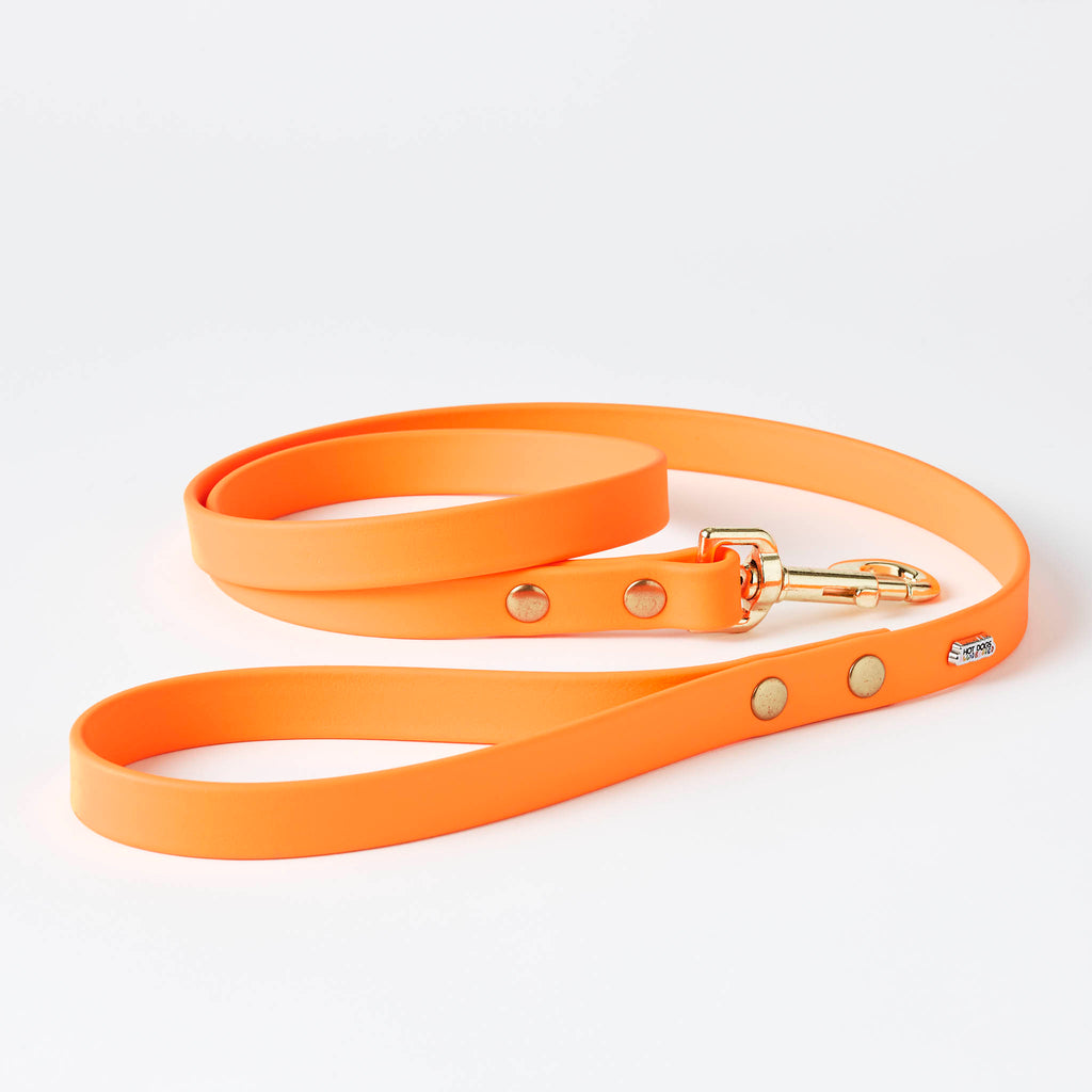 Orange Leather Dog Leash 