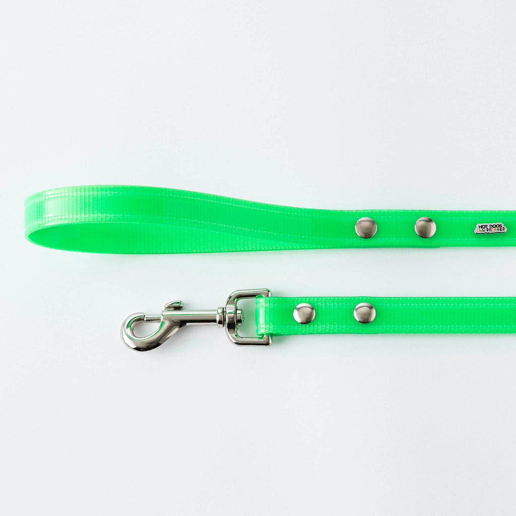 Green Hydro Dog Leash 