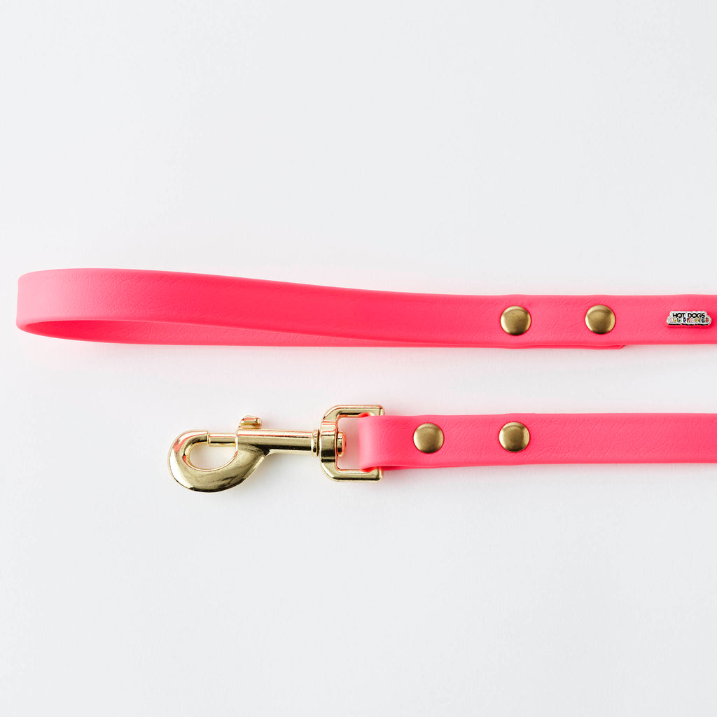 Buy Pink Dog Leather Leash 